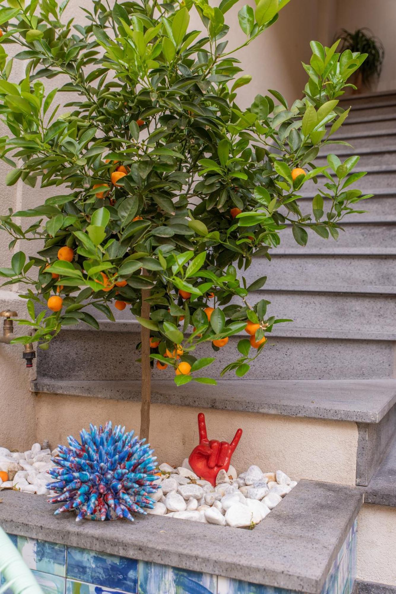 Villa D'Orville Luxury Suites タオルミーナ エクステリア 写真